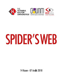 spiders Web